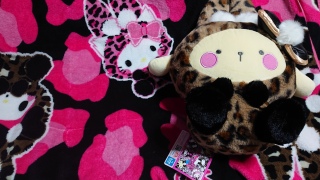 �M�������