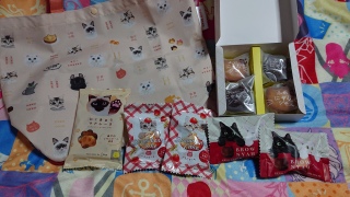 �˂��˂�����