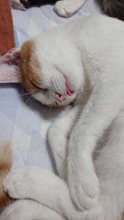 ��